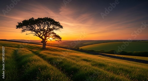 Wallpaper Mural Solitary tree silhouetted against a golden sunset over rolling hills. Torontodigital.ca