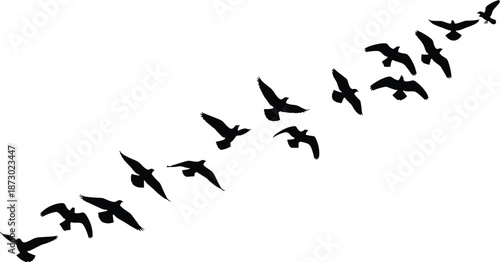 flying birds silhouette flock, freedom migration concept, black bird shapes in sky, minimalist nature wildlife illustration background