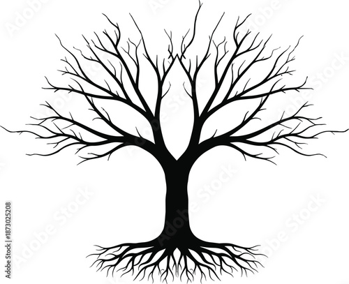 Bare tree silhouette illustration, leafless branches and roots design, black nature vector, winter tree symbol, isolated white background art