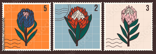 Vintage hand drawn protea flowers postage stamp set . Retro vector collection of floral mail stickers with grid background and postal cancellation marks. South African botanical philately design