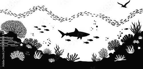 Underwater ocean illustration with shark, coral reef, tropical fish, marine life silhouettes, aquatic ecosystem, sea wildlife, black white vector