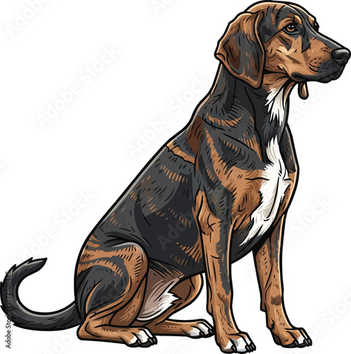 Plott Hound dog sitting calm relaxed looking away cute pose