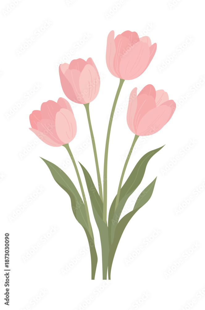 Fototapeta premium Beautiful illustration of a pink tulip bouquet with soft green leaves. Elegant floral vector art perfect for Mother's Day, spring-themed greetings, wedding invitations, and home decor designs.