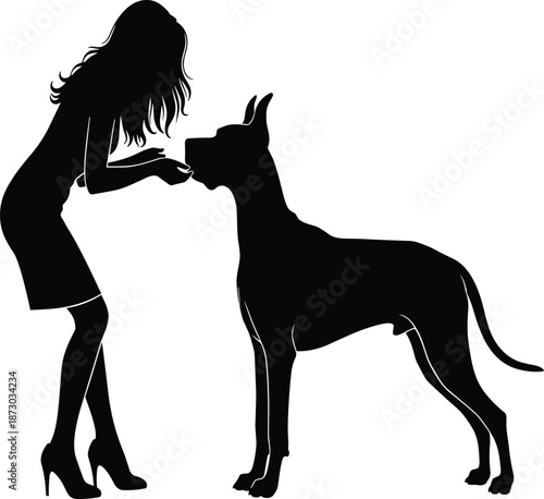 Black Silhouette of Elegant Woman Training a Great Dane Dog, Happy Female Owner Feeding Large Pet for Canine Obedience Vector