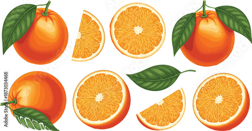 Fresh orange fruit set with whole sliced pieces and green leaves juicy citrus vector illustration isolated white background
