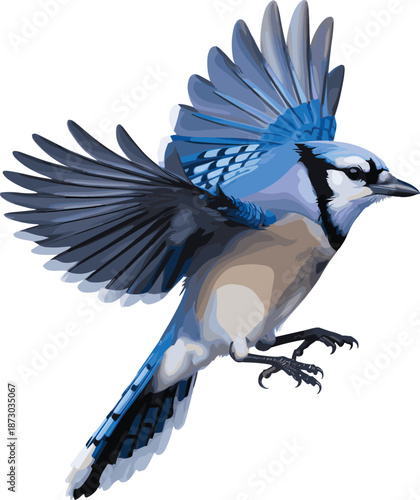 Blue Jay bird, flying wildlife illustration, vibrant feather artwork, dynamic avian drawing, colorful nature design, educational ornithology image, decorative animal art