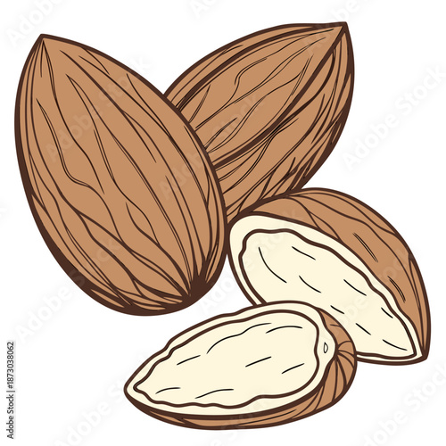 Brown Almond Nuts Whole and Halves Vector Illustration