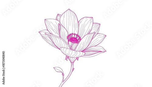 Intricate line drawing of a blooming flower, delicate petals and stem,  spring,  line art