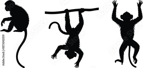 Monkey Silhouettes Set, Various Poses, Hanging, Sitting, Jumping, Black Primate Mammals, Jungle Animals, Vector Illustration Collection