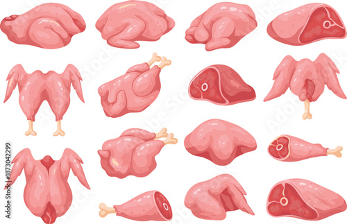 Raw chicken cuts, meat illustration, cartoon style, drumsticks, thighs, whole chicken, food anatomy, culinary graphic, pink meat, butcher chart, educational, cooking