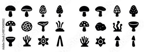 Variety of mushroom icons showing different species and shapes from edible to poisonous. vector illustration