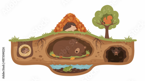 Underground animal burrows crosssection with various creatures.