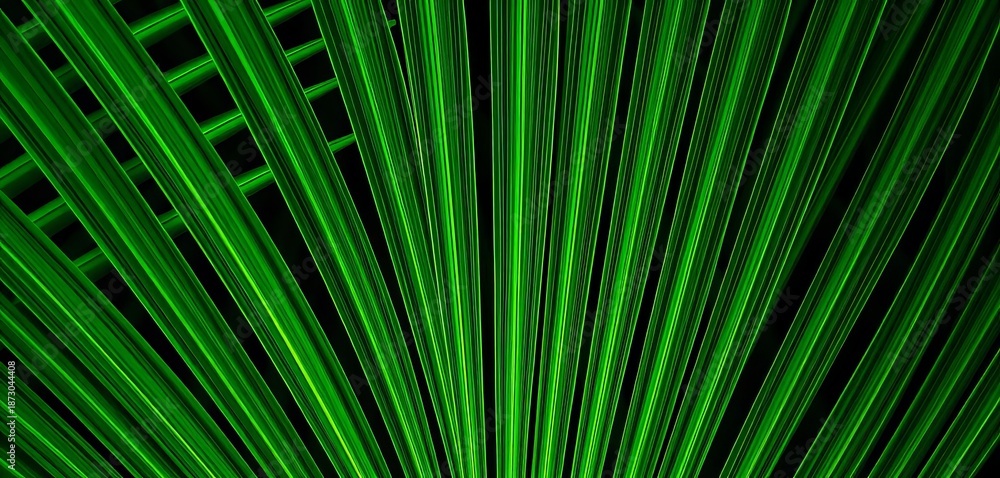 Fototapeta premium Close-up of a vibrant green Chinese fan palm frond, showing intricate detail, flora, houseplant