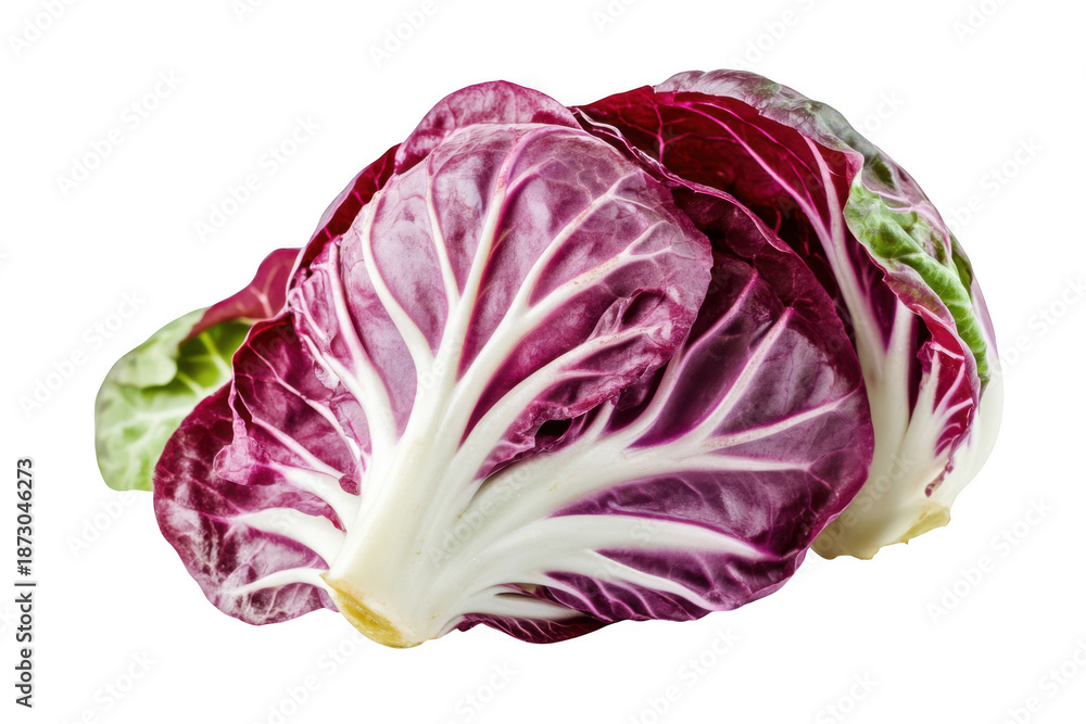 Fototapeta premium A vibrant head of radicchio isolated on transparent background