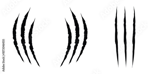 Vector Illustration of Claw Marks Isolated on White Background