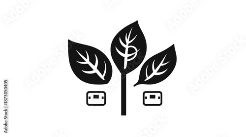 Black Plant with White Leaf Veins.