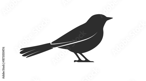 Black Silhouette of a Bird Standing.