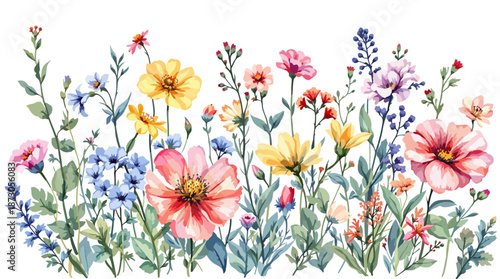 spring flowers and grass