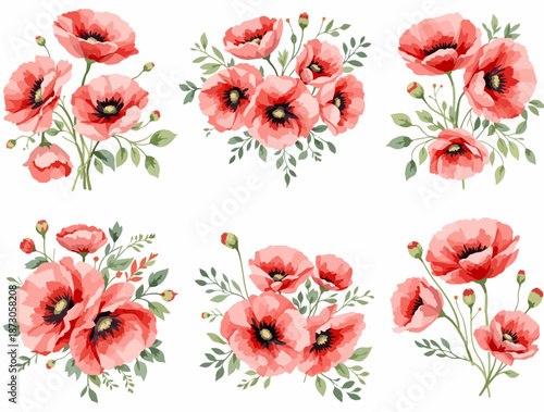 collage of poppies watercolor set