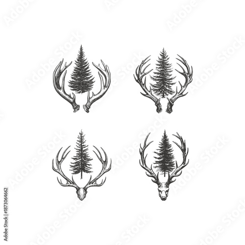 Set of vintage hand drawn engraving illustrations featuring deer antlers framing a majestic pine tree