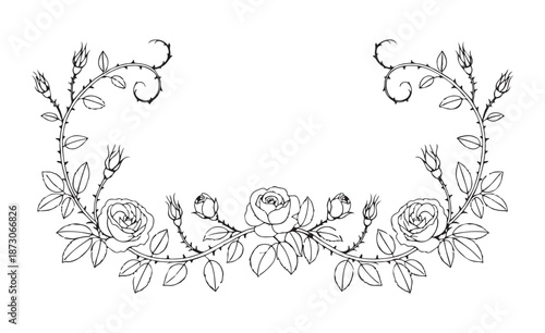 Hand-drawn rose vine border with thorns and flower buds, black and white line art botanical illustration.
