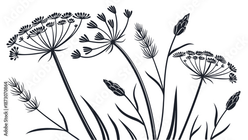 Elegant Botanical Illustration of Dill and Grass in Black and White.