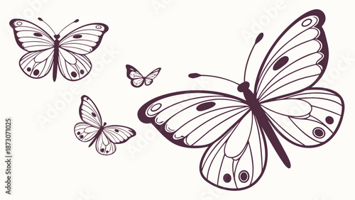 Elegant Butterfly Collection A Delicate Dance of Natures Beauty.