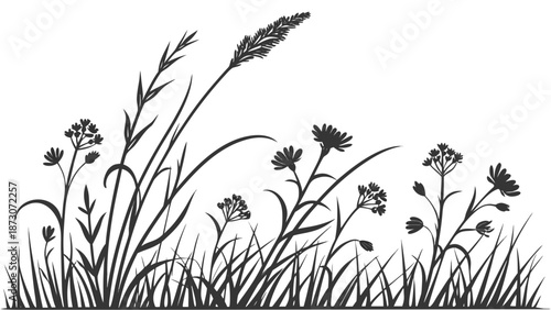 Silhouette of Wild Grass and Flowers in a Field.