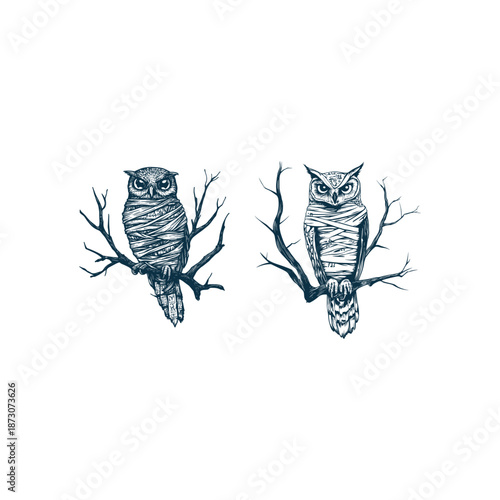 Vintage hand drawn engraving of a mystical owl wrapped in mummy bandages perched on a dead branch on a black background