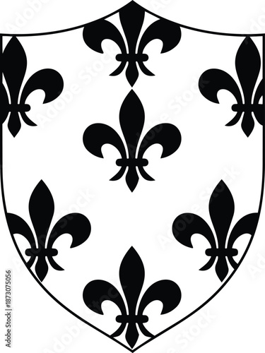 Confident businesswoman working diligently at modern office desk with laptop