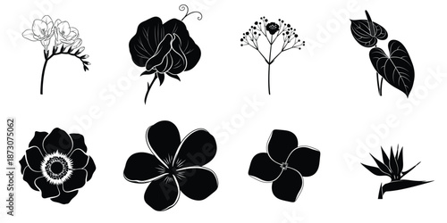 Silhouette of various black and white plant and flower shapes