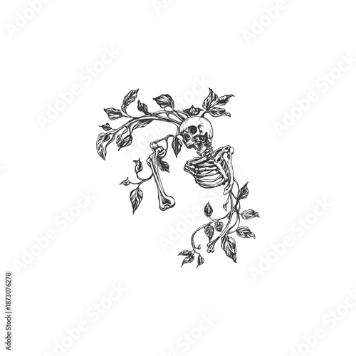 Vintage hand drawn engraving of a human skull and skeletal remains intertwined with organic growing vines and leaves.