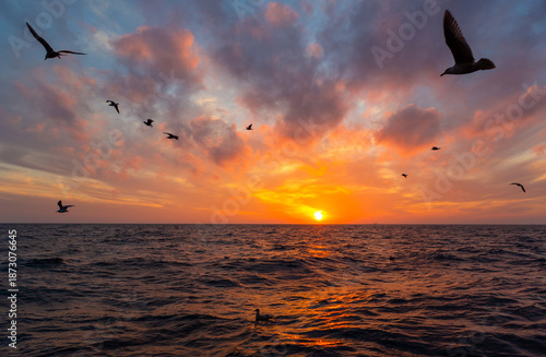 Seagulls flying over the ocean at sunset.