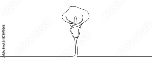 Stylized Calla lily or similar flower on a long stem. Symbol of beauty, elegance, purity, wedding, or nature in one line art style with editable black stroke. Vector illustration.