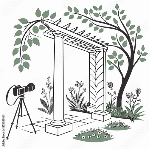 Photography setup in nature with camera and plants illustration.