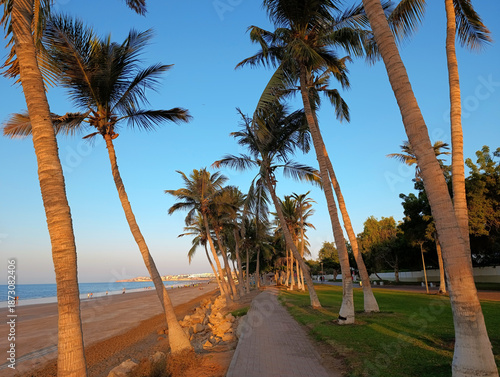 Al Qurum beach and waterfront walking area among the palm trees at sunset in Muscat, Oman