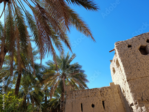 Old historical buildings around Nizwa Fort surrounded by palm trees in Oman