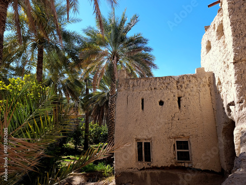 Old historical buildings around Nizwa Fort surrounded by palm trees in Oman