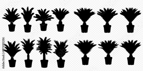 Silhouette Row of Decorative Houseplants for Stylish Interior Design Projects Featuring Potted Plants for Modern Home Aesthetics and Decor