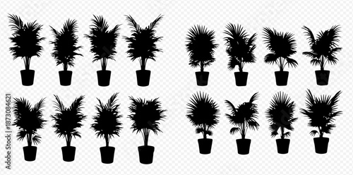Palm Tree Silhouette Collection Diverse Foliage Styles in Pots for Interior Design Elements and Graphic Design Projects Tropical Plant Variety