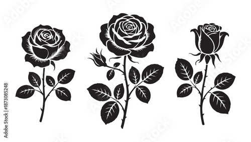 Set elegant floral dividers: detailed, hand-drawn, leaf and flower designs