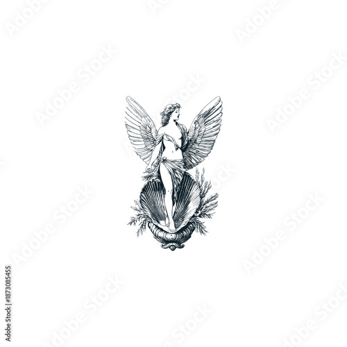 Ancient Greek goddess Venus or Aphrodite born from a sea shell vintage hand drawn illustration