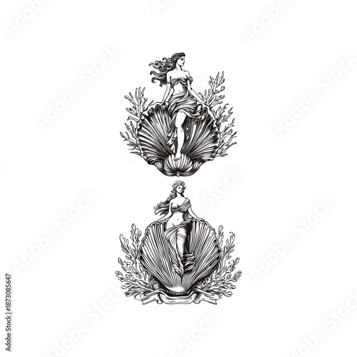 Ancient Greek goddess Venus or Aphrodite born from a sea shell vintage hand drawn illustration