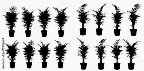 Silhouetted Potted Plant Collection for Creative Design Projects Versatile Decorative Elements with Transparency for Graphic Artistry silhouette