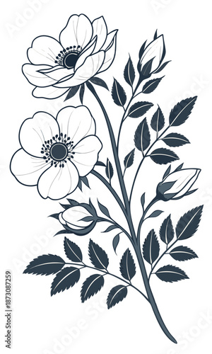 Elegant Floral Illustration Delicate Flowers and Buds on a Branch.