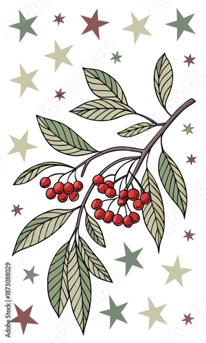 Festive Rowan Branch with Berries and Starry Background.