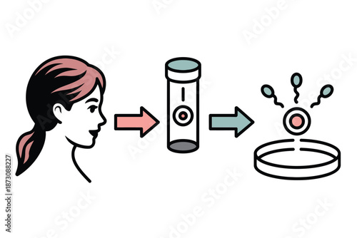 Illustration showing female fertility testing and in vitro fertilization process.