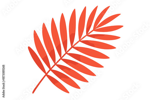 Bright orange leaf placed on a plain white background showing details of the leaf structure and shape
