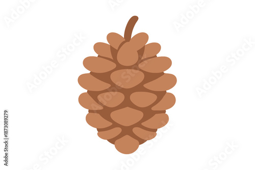 Pine cone sits on a white background showcasing its brown texture and unique shape