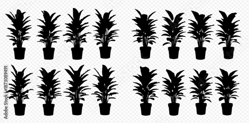 A Set of Black Silhouette Houseplants in Pots Isolated on a Transparent Background for Design Elements or Creative Projects Interior Decor silhouette
